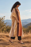 Zareen Metallic Multi Striped Chanderi Zari Kaftan